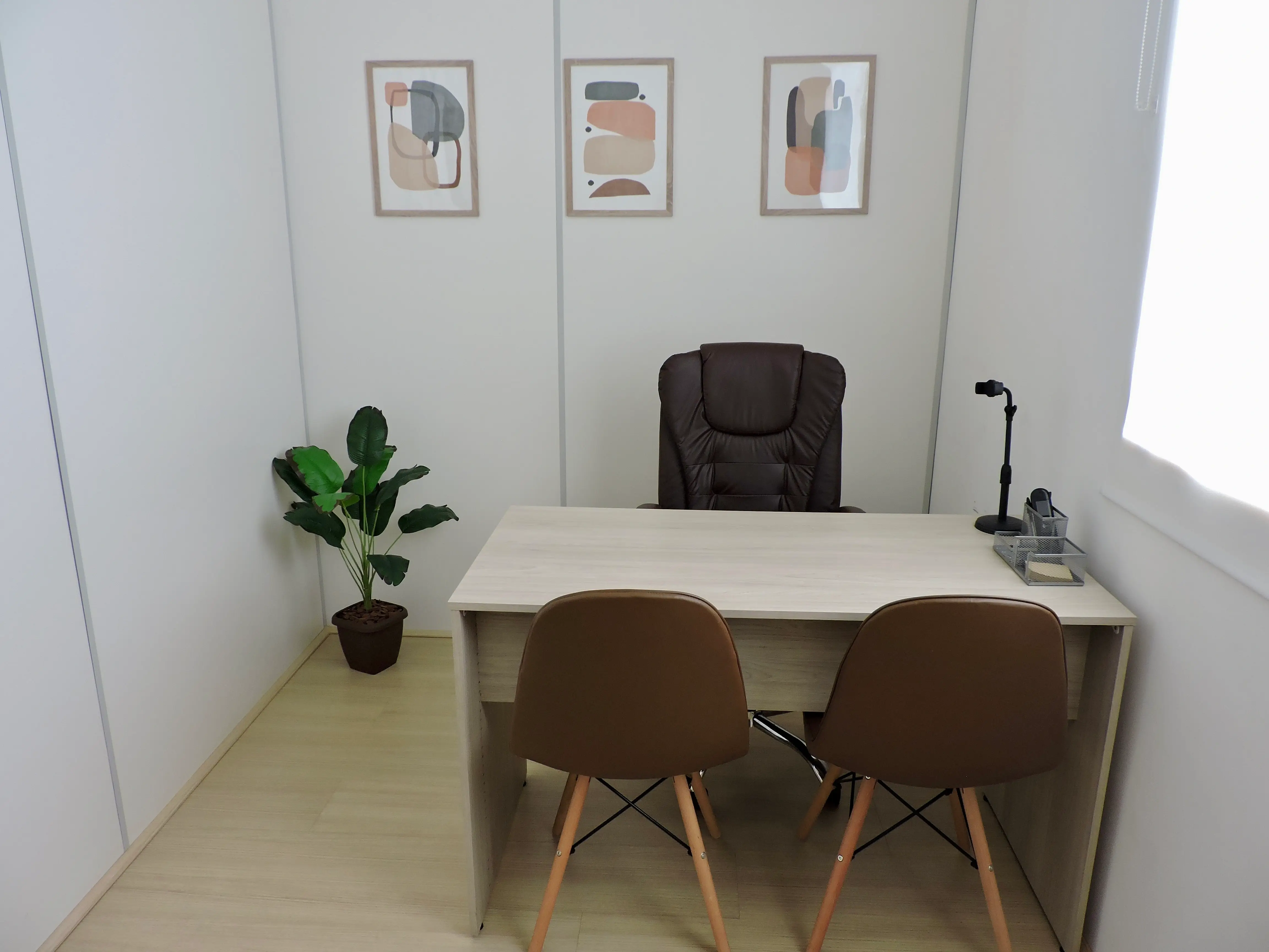Sala White